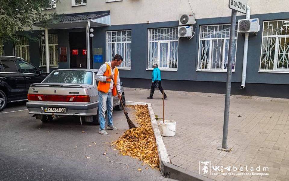 Как выглядят волшебники?