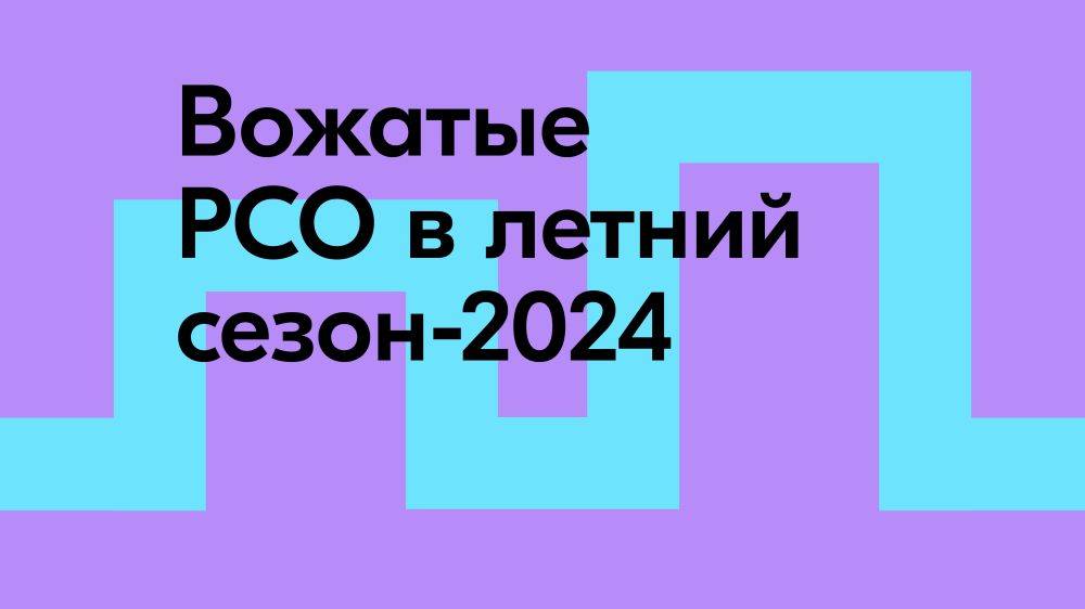 Российские студенческие отряды на 80% обеспечили вожатыми детские лагеря и центры по всей России