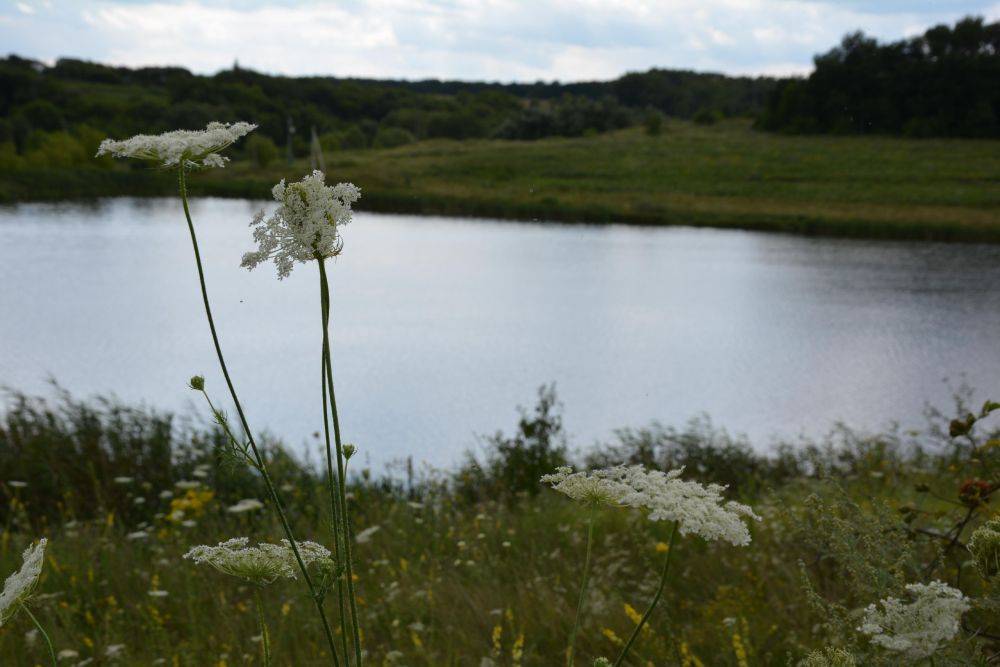 Красота родной природы в фотографиях нашей подписчицы Елены Яковлевой