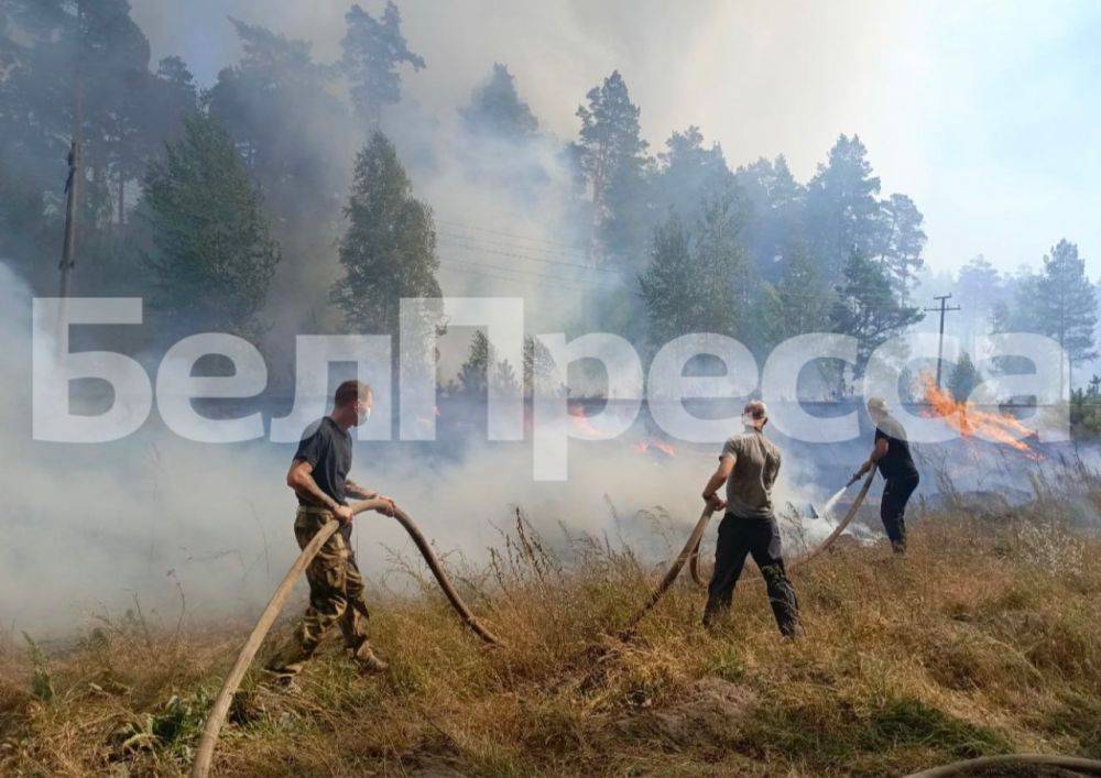 Ещё кадры тушения пожара от корреспондента «БелПрессы» Елены Ржевской