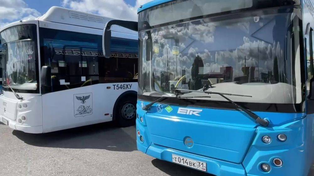 В Белгороде появятся три новые автобусные остановки