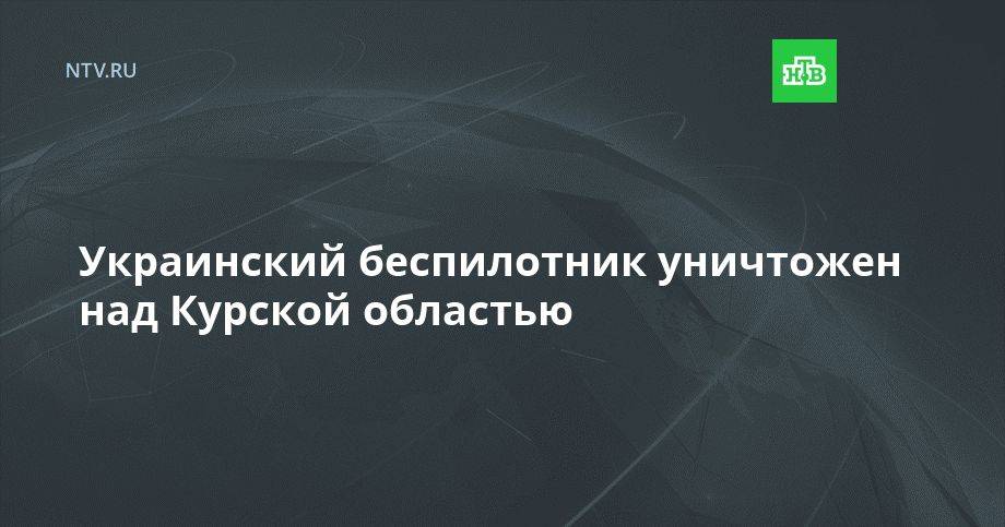 Украинский беспилотник уничтожен над Курской областью