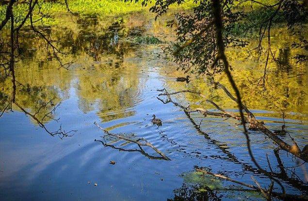 В октябре в Белгороде наведут санитарный порядок в водоохранных зонах рек