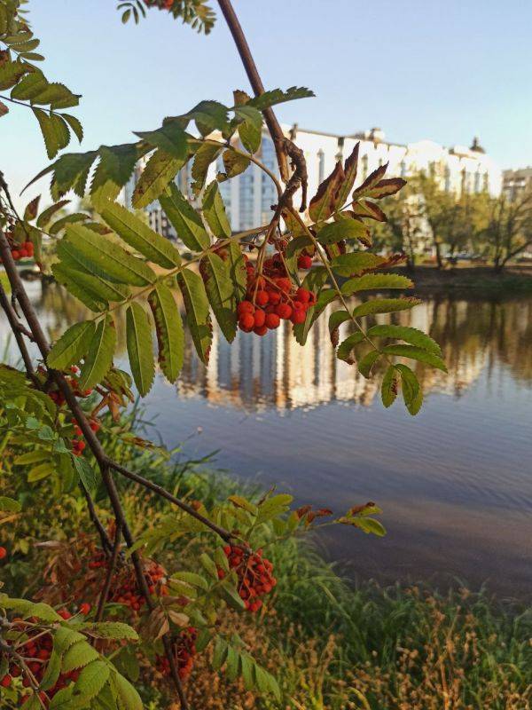 Сегодня, 26 сентября, в Белгороде будет небольшая облачность, без осадков