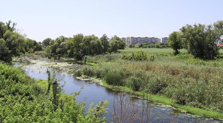 В Алексеевском округе по губернаторской программе очищают водоёмы