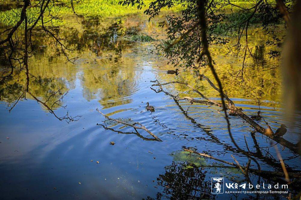 В октябре в Белгороде наведут санитарный порядок в водоохранных зонах рек