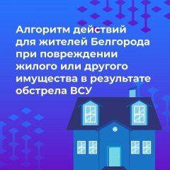 В мэрии Белгорода рассказали, как возместить стоимость утраченного при обстрелах имущества