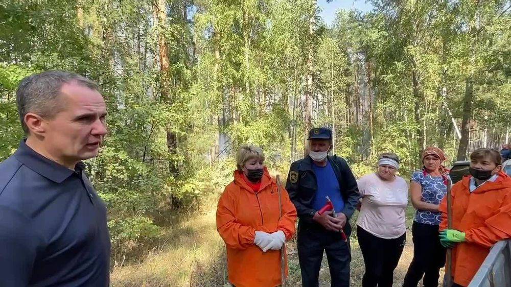 Вячеслав Гладков: В Шебекинском городском округе продолжается ликвидация пожаров