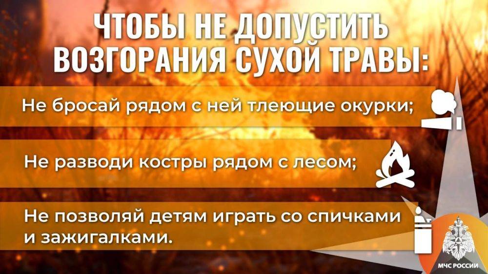 Останови огонь – не сжигай сухую траву