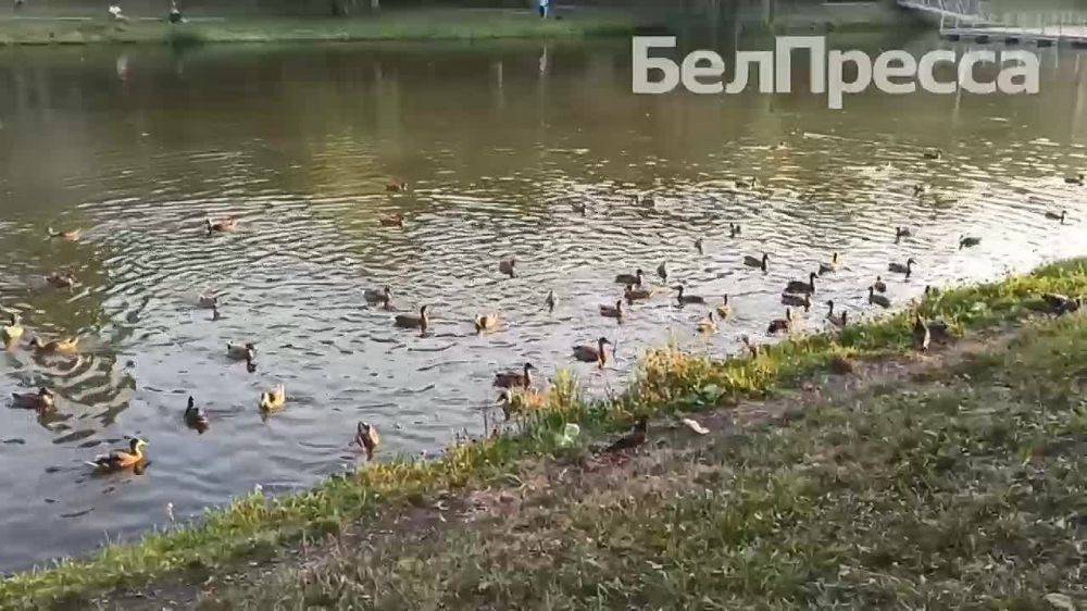 Сегодня, 7 сентября, в Белгороде будет ясная погода