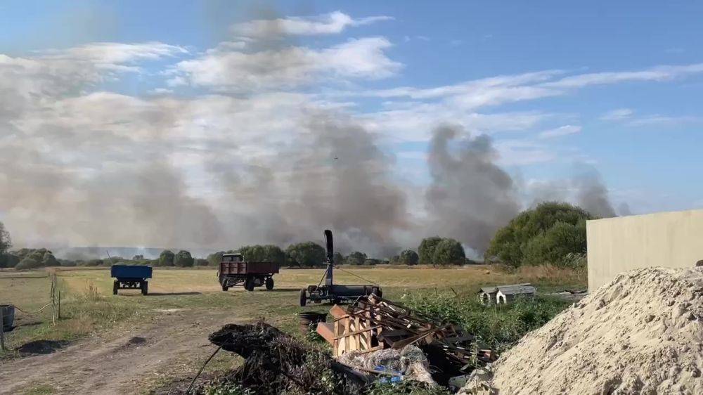 Пожар в Грайворонском округе удалось локализовать