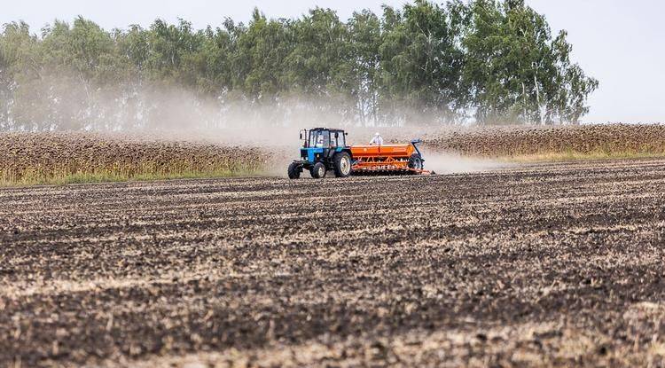 В Белгородской области украинский дрон ранил тракториста, работающего в поле