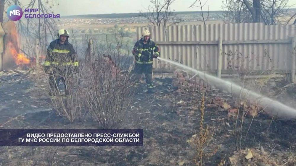 «При ландшафтных пожарах всё живое сгорает»