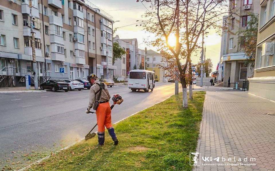 Как выглядят волшебники?