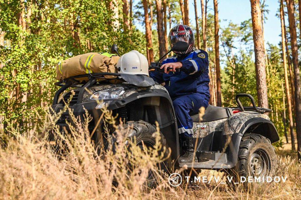 Валентин Демидов: В Белгороде сохраняется теплая и сухая погода, а также риск ландшафтных пожаров