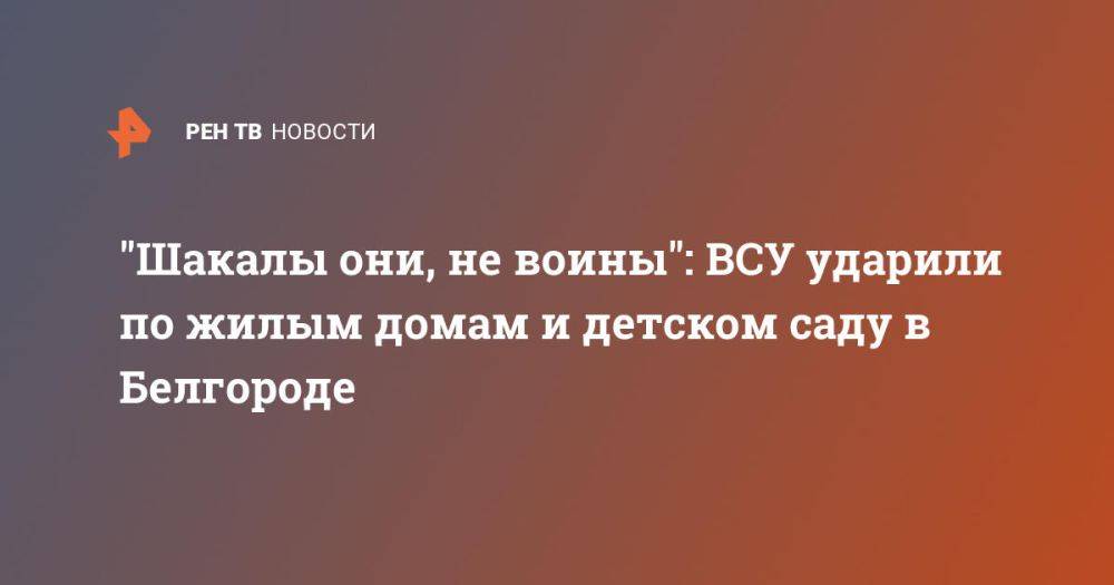 "Шакалы они, не воины": ВСУ ударили по жилым домам и детском саду в Белгороде