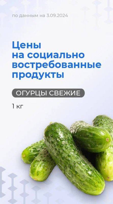 Рубрика – цены на самые главные продукты – огурцы