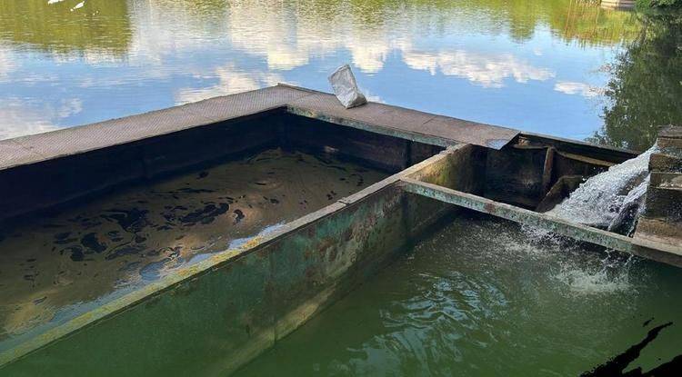 Ракитянское предприятие наказали за загрязнение водоёма в природном заказнике