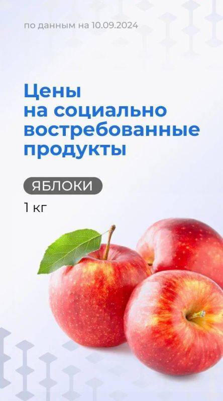 Губернатор Белгородской области в еженедельной рубрике рассказал о стоимости яблок