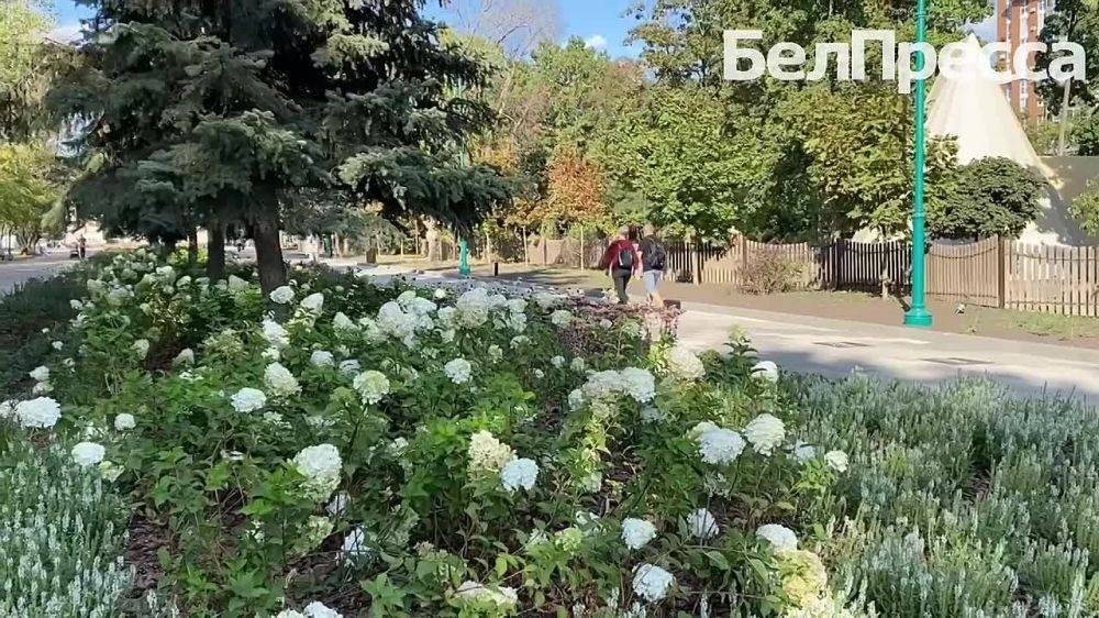 В Белгороде завершается второй этап реконструкции парка Ленина