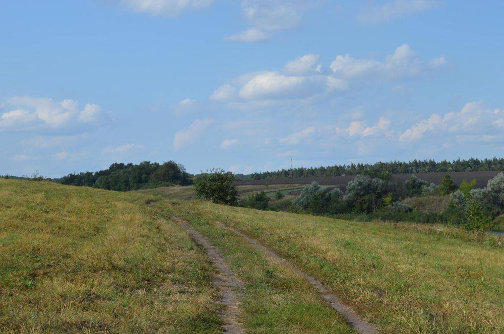 Красота родной природы в фотографиях нашей подписчицы Елены Яковлевой