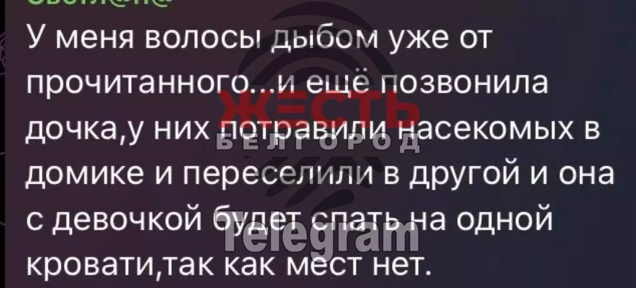 «Обидно до слёз»: в каком лагере после жалоб белгородцев проведут проверку?7