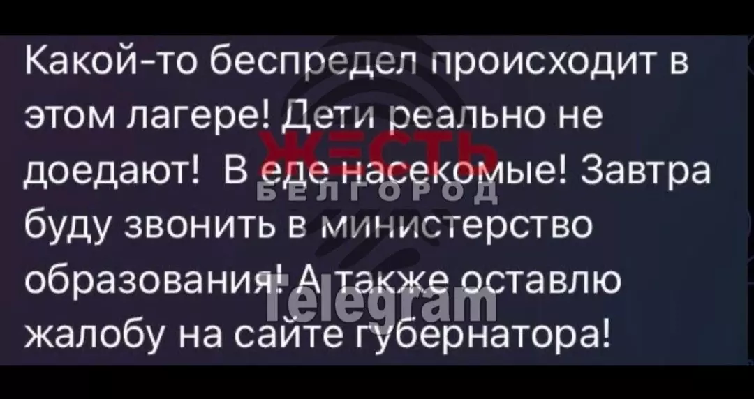 «Обидно до слёз»: в каком лагере после жалоб белгородцев проведут проверку?5