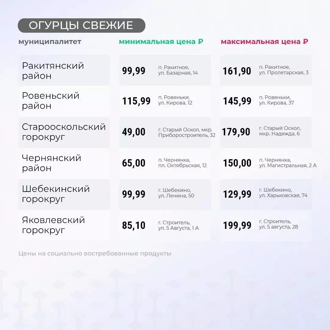 От 49 рублей до 220: где самые дешёвые и дорогие огурцы в Белгородской области?5