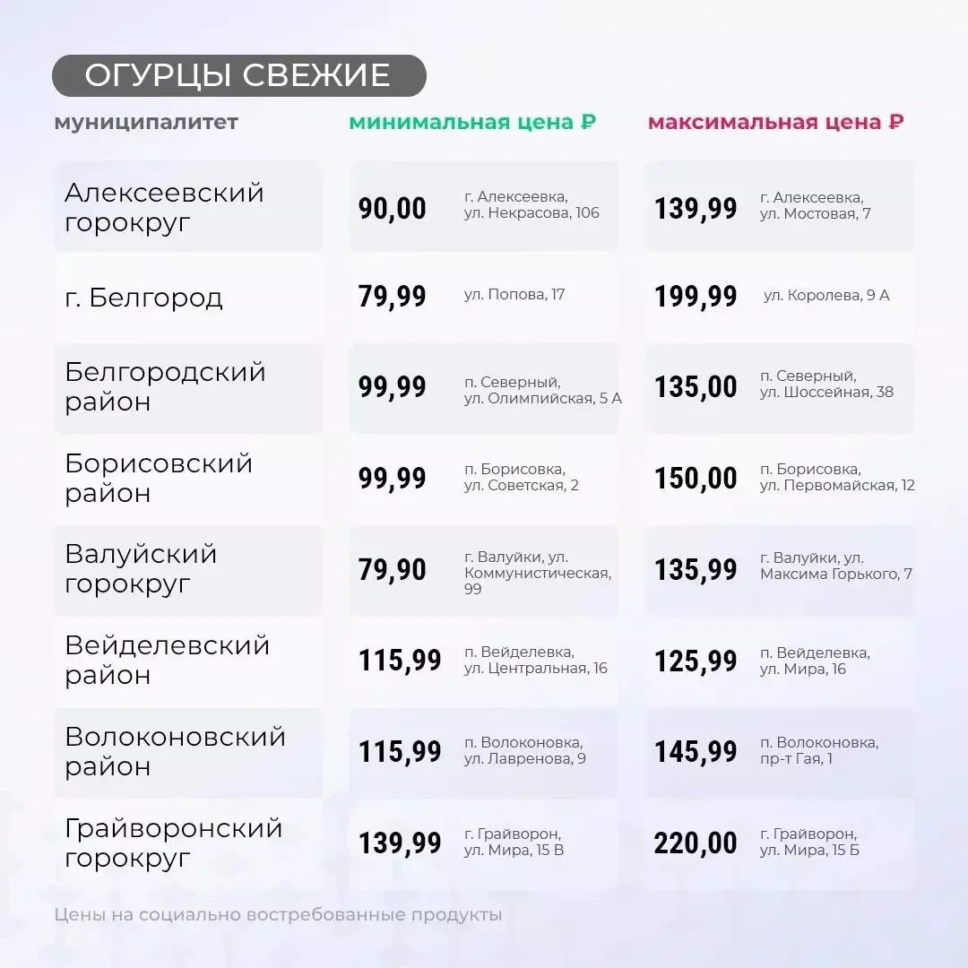 От 49 рублей до 220: где самые дешёвые и дорогие огурцы в Белгородской области?3