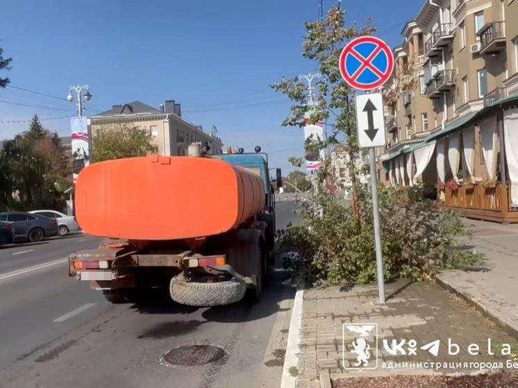 В Белгороде коммунальщики продлевают декоративность цветников