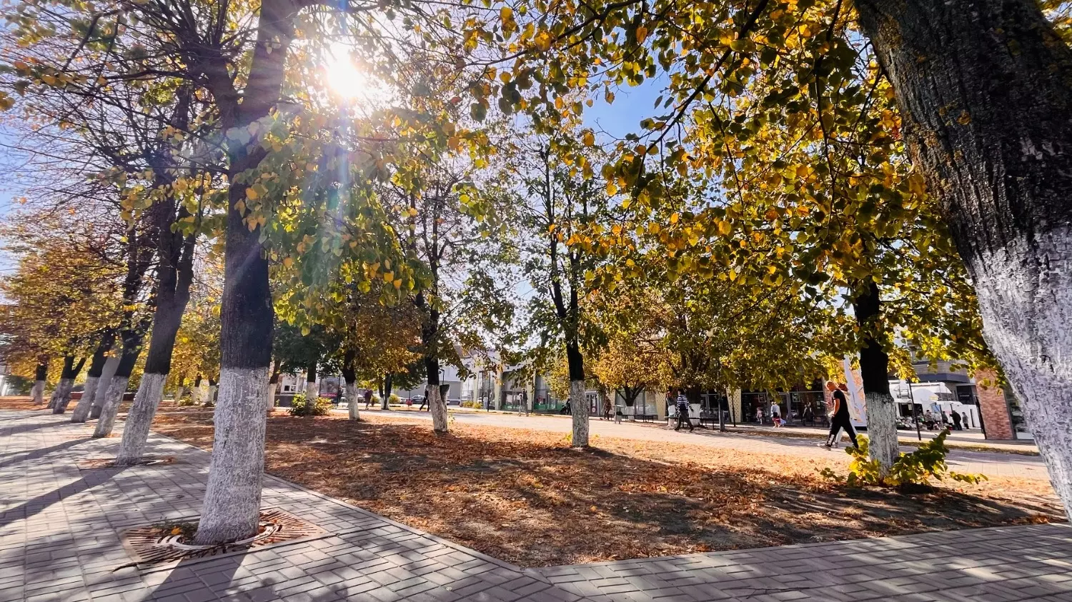 В Белгороде продолжается бабье лето: как жители города провожают сентябрь?19