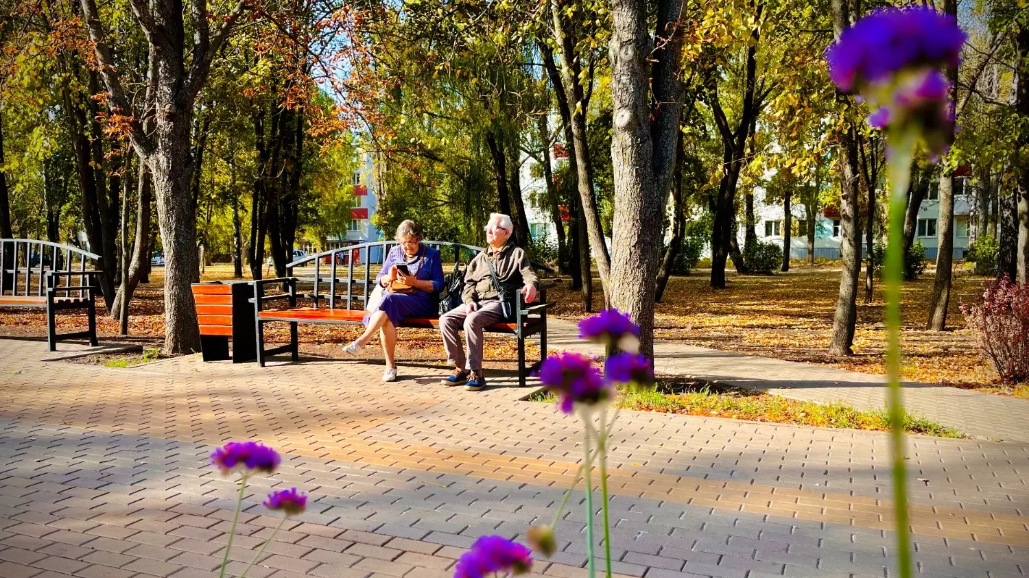 В Белгороде продолжается бабье лето: как жители города провожают сентябрь?11