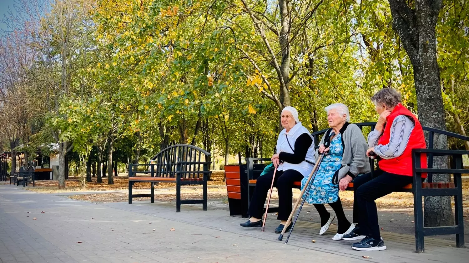 В Белгороде продолжается бабье лето: как жители города провожают сентябрь?3