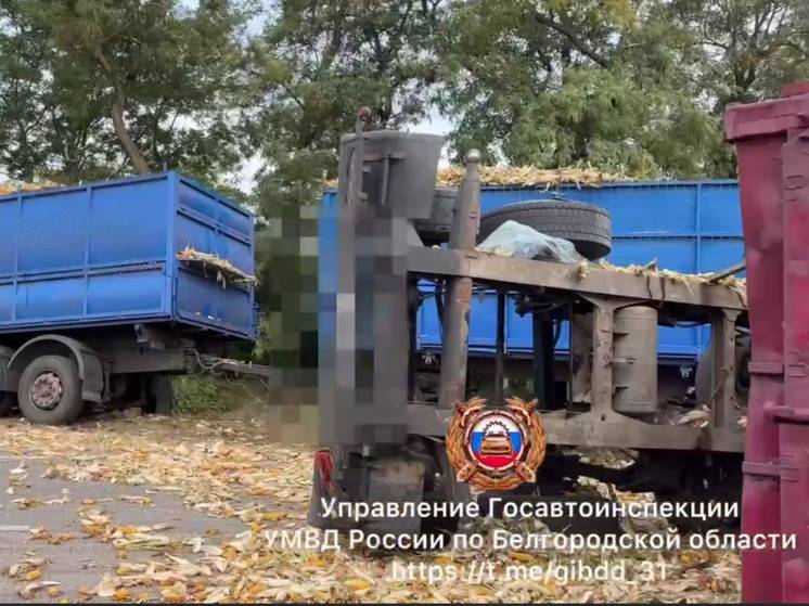 В Корочанском районе из-за ДТП с большегрузами возможно затруднение движения