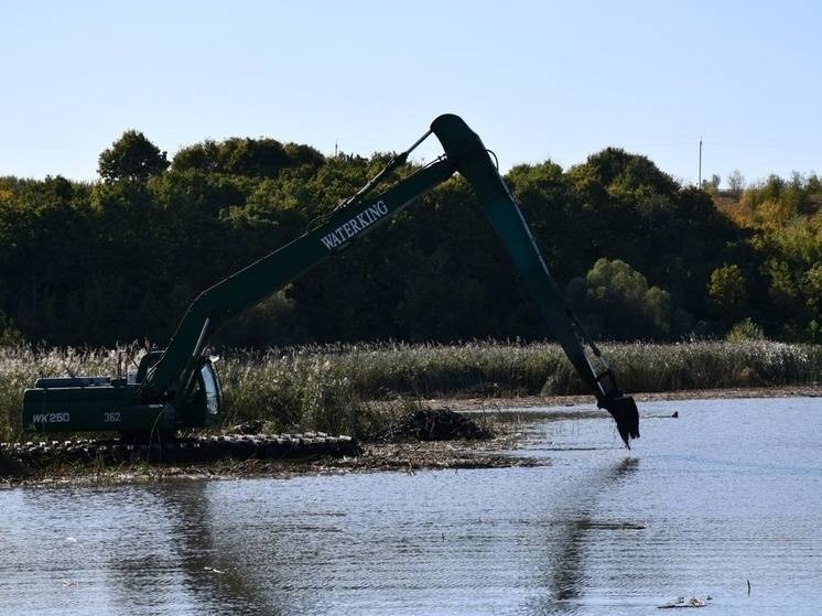 В селе Арнаутово Белгородской области очищают пруд