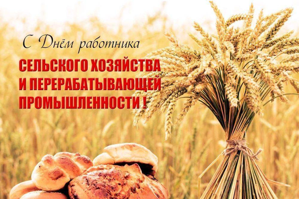 Татьяна Круглякова: Уважаемые работники и ветераны сельского хозяйства и перерабатывающей промышленности!