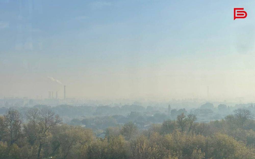 Откуда в Белгороде запах гари?