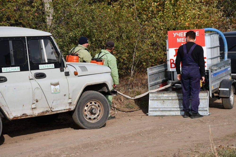 Галина Руденко: Учения по ликвидации лесного пожара прошли в Красногвардейском районе