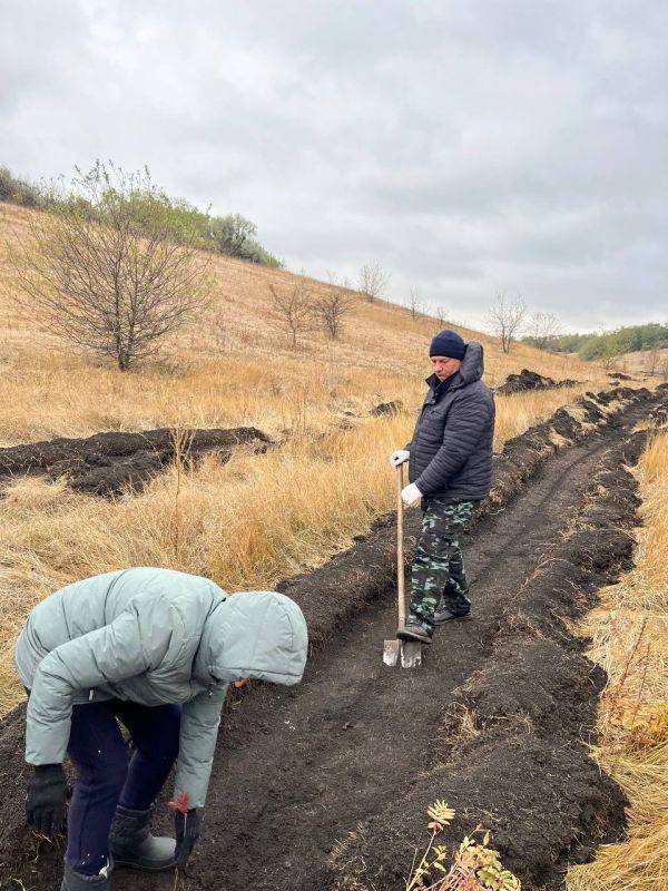 Татьяна Круглякова: Всероссийская акция «Сохраним лес» прошла в Чернянском районе