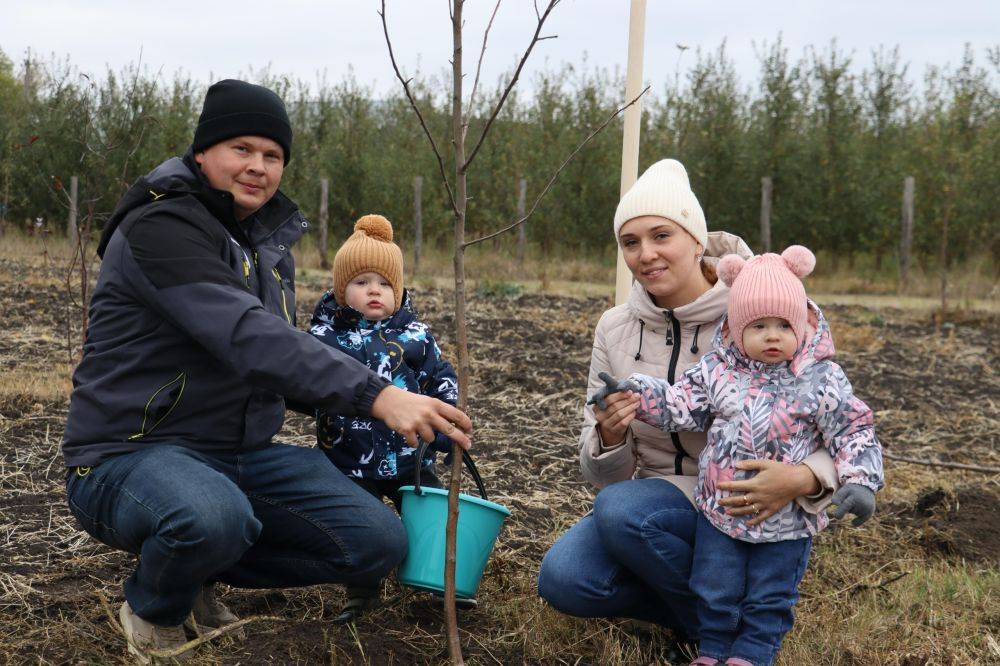 Аллея новорождённых в Чернянке пополнилась новыми деревцами!