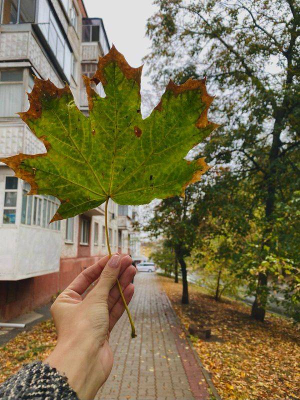 Сегодня, 16 октября, в Белгороде будет облачная погода, местами небольшие дожди