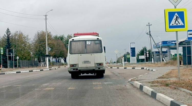 Самые стойкие. Как работают водители пассажирских автобусов в Шебекино