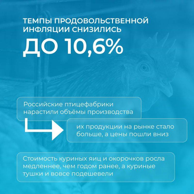 Инфляция в Белгородской области уменьшилась до 8,2%