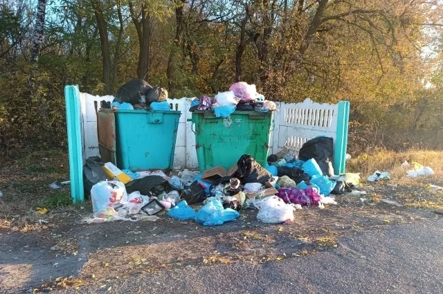 Белгород вошёл в число городов с частым использованием нецензурной лексики1