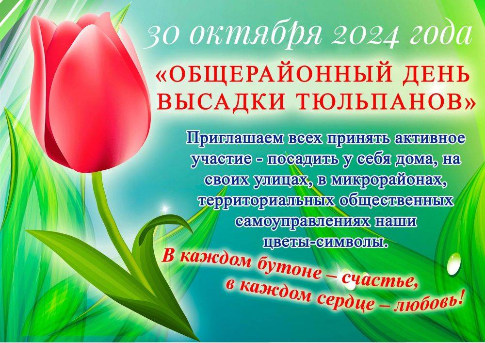 Седьмой год в нашем районе будет проходить общерайонный День посадки тюльпанов