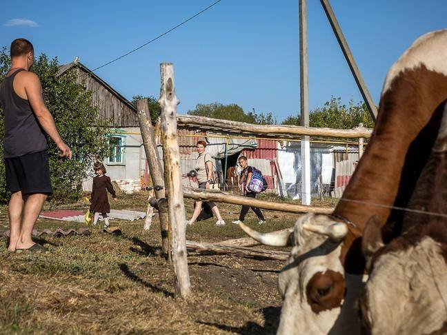 «Наше место». Как сибиряки Огородниковы осуществили свою мечту в Новооскольском округе