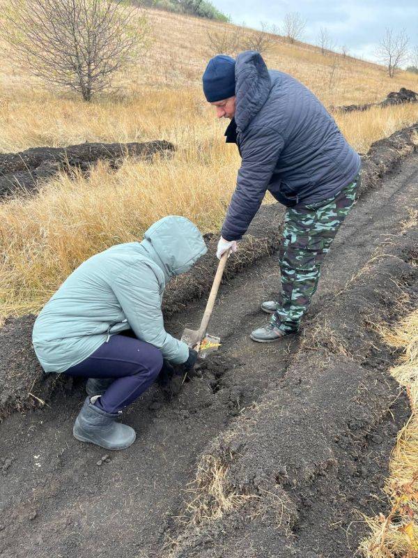 Всероссийская акция «Сохраним лес» прошла в Чернянском районе!