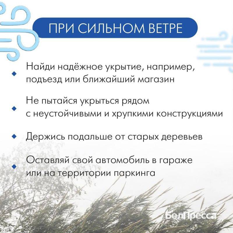 В Белгородской области ожидается усиление ветра до 20 м/с