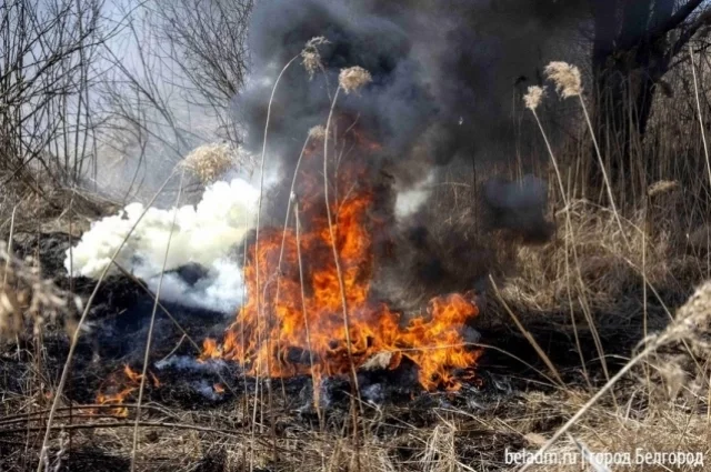 Светофор загорелся на проспекте Богдана Хмельницкого в Белгороде1