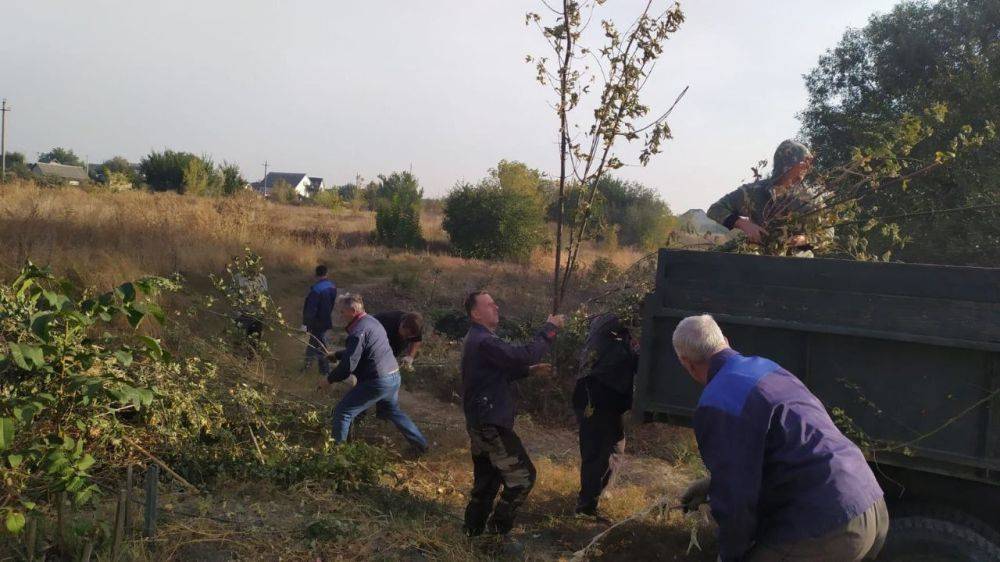 Отчётная рубрика по вопросам, принятым в ходе еженедельных встреч с жителями Борисовского района